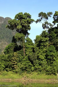 Teil einer Insel im Chiao-Lan-See