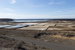 Blick auf die Salinas de Janubio auf Lanzarote