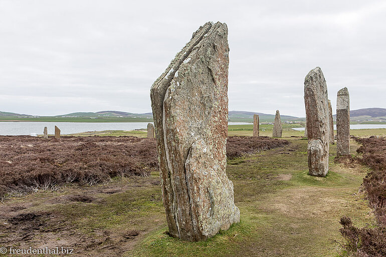 beim Ring of Brodgar auf Orkney