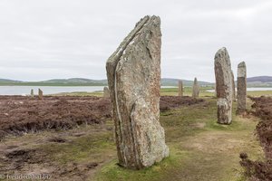 beim Ring of Brodgar auf Orkney