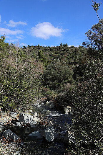Fluss Pedieos auf Zypern