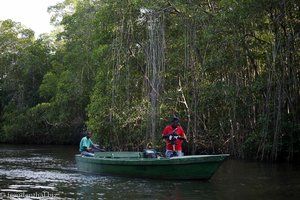 Ranger fahren durch die Caroni Sümpfe