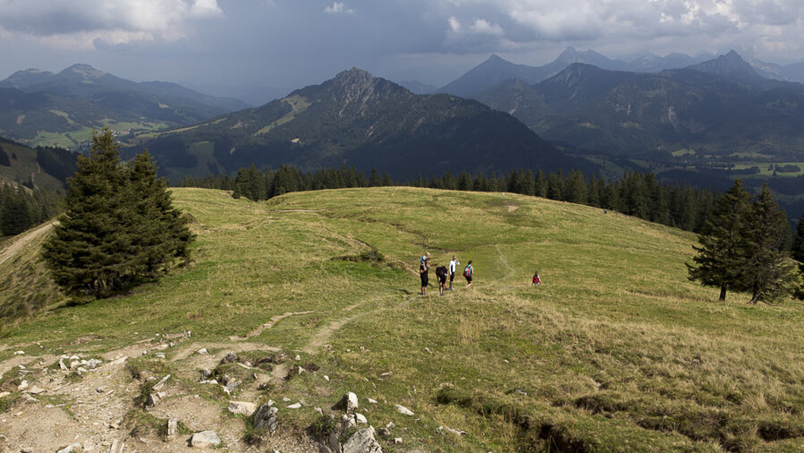 Aussicht vom Wertacher Hörnle über Bergwiesen zum Grünten im Allgäu