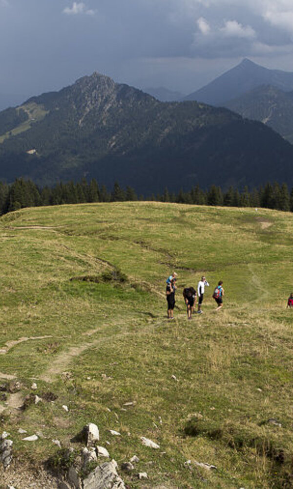 Wertacher Hörnle Auf dem Wertacher Hörnle