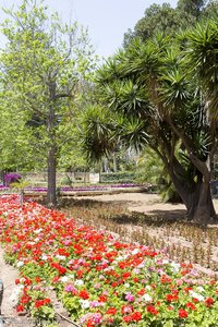 im San Anton Garden auf Malta