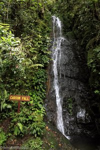 Carson Wasserfall am Mount Kinabalu