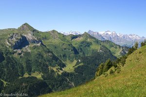 Aussicht vom Klingenstock nach Süden