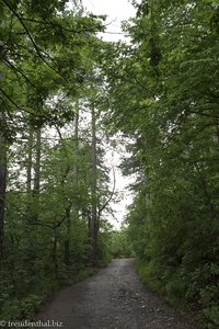 Wanderweg auf dem Tampa bei Kronstadt