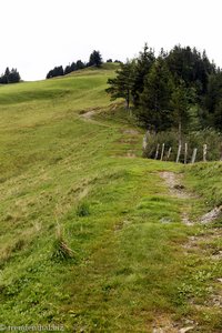 auf dem Grat der Rigi-Scheidegg