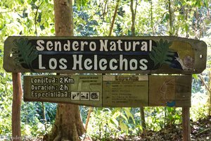 Sendero natural los helechos im Naturpark