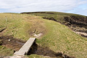 Wanderweg entlang der Klippen von Yesnaby