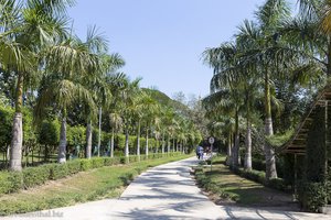 im People's Park von Yangon