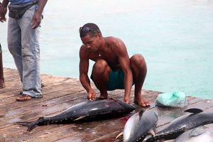 hier wird der Fisch direkt vor Ort zerlegt