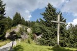 Rigi-Blumenpfad