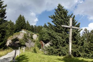 Rigi Blumenpfad