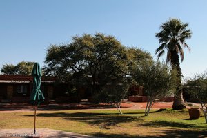 im großen Garten der Kalahari Anib Lodge