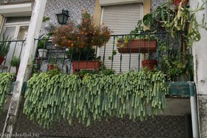 reich beblümter Balkon im maurischen Viertel