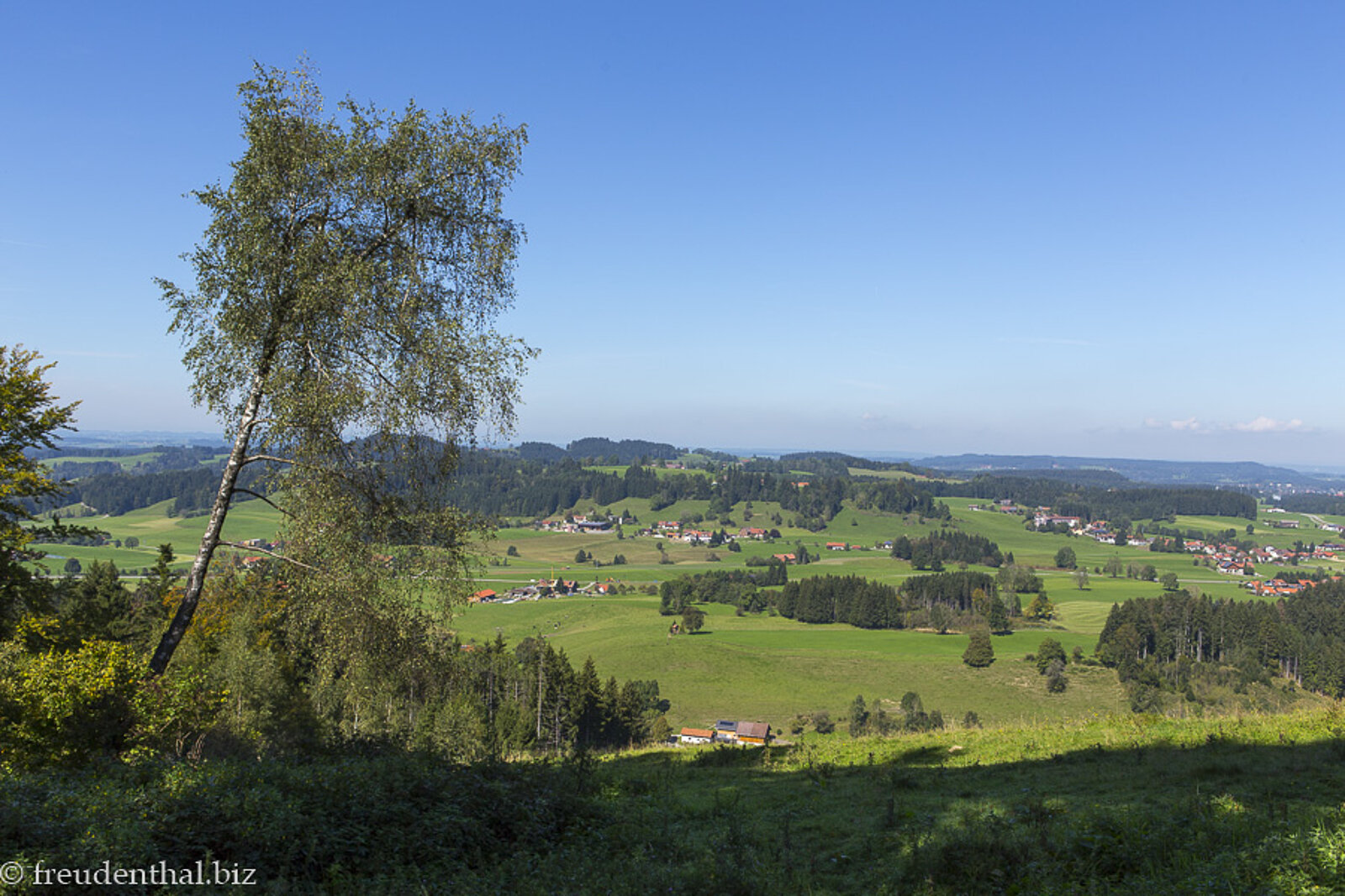 Aussicht von der Riedholzer Kugel über das von Hügeln und Wiesen geprägte Westallgäu