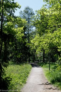 Spazierweg auf Seurasaari