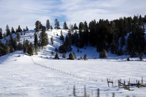 Winterlandschaft im Bundesstaat Utah