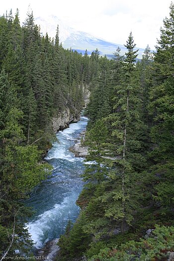 Blick auf den Maligne River