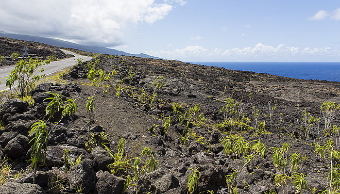 Vulkanlandschaft der Grand Brûlé im Süden von La Réunion