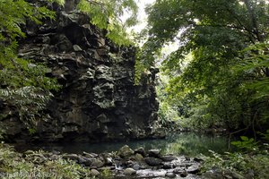 Der Black River im Gebirge von Mauritius