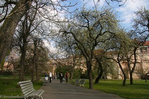 Klostergarten in Prag