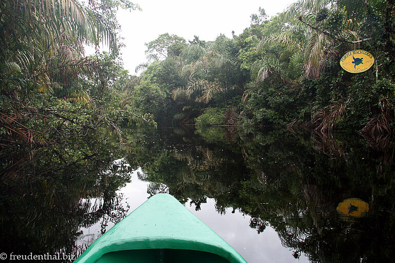 Kanutour Lagune bei Tortuguero Kanutour durch die Lagune bei Tortuguero