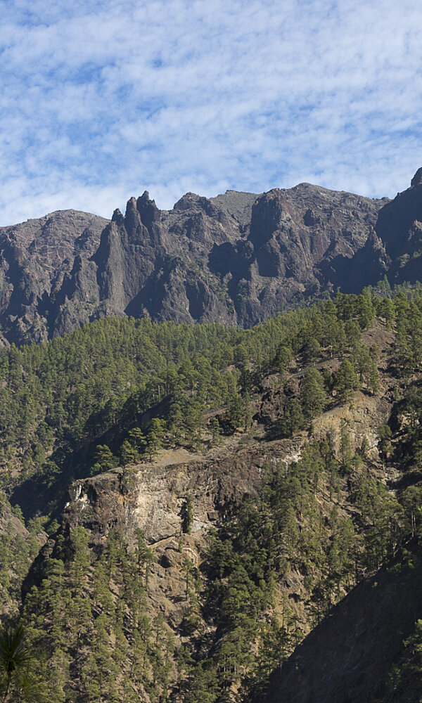 Wanderung durch die Caldera de Taburiente