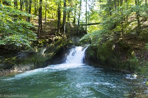 Der Riedholzer Eistobel