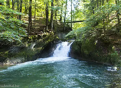 Wanderung zum Riedholzer Tobel