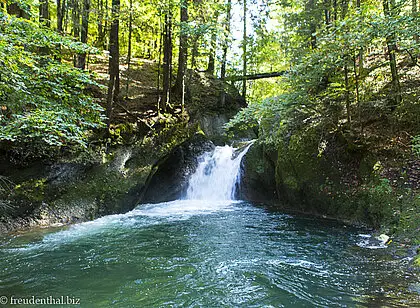 Wanderung zum Riedholzer Tobel