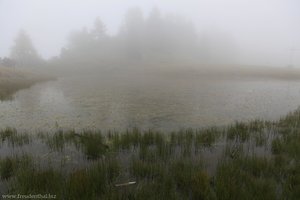 Die Kastellacke auf dem Rosskopf.