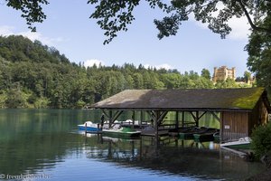 Hohenschwangau 