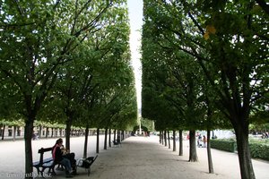 Eine Allee zum Flanieren, nahe dem Palais Royal.