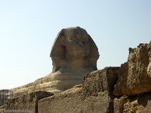 ich würde der Statue eine neue Nase gönnen