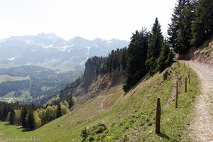 Wanderweg zum Spicher oberhalb eines Nagelfluh-Hangs