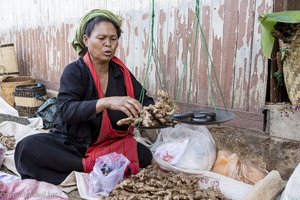 Ingwer-Verkäuferin beim Fünf-Tage-Markt vom Inle-See