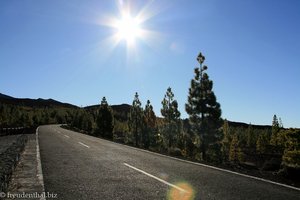 Sonnenschein auf der Straße beim Mirador Samara