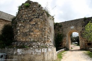 Noto Antica