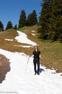 Steffi, bevor sie im Schnee eingesunken ist...