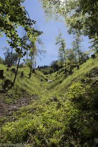 Große Alpseerunde im Gschwender Tal