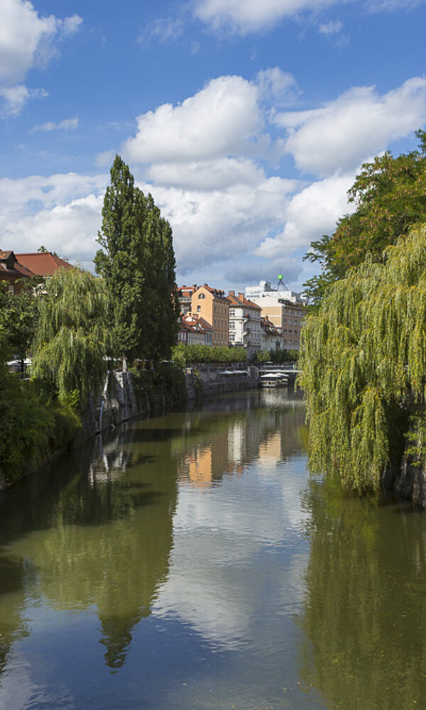 Die Ljubljanica ist an einigen Stellen üppig grün bepflanzt.