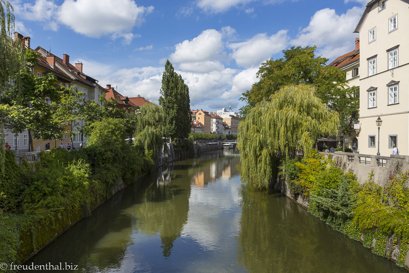 Mit Bäumen und Sträuchern reich bepflanzte Ljubljanica in Ljubljana, Slowenien