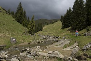 Blick durch das Tal Izvorul Dorului