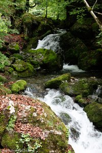 Minikaskaden im Brühltobel