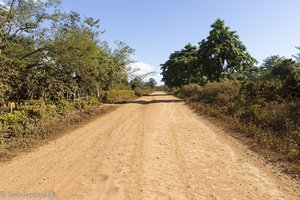 auf dem Bolaven Plateau in Laos