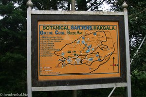 Hakgala - Übersicht