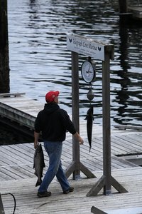 bei der Fischwaage Telegraph Cove